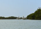 Captiva042018-7773  Kayaking around Buck Key.  Southerly wind, tide coming in.  Started South along Roosevelt Channel, then went all the way around the far side. : 2018, Buck Key, Captiva, Kayaking