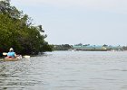 Captiva042018-7796  Kayaking around Buck Key.  Southerly wind, tide coming in.  Started South along Roosevelt Channel, then went all the way around the far side. : 2018, Buck Key, Captiva, Kayaking