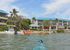 Captiva042018-7802  Kayaking around Buck Key.  Southerly wind, tide coming in.  Started South along Roosevelt Channel, then went all the way around the far side. : 2018, Buck Key, Captiva, Kayaking