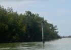 Captiva042018-7804  Kayaking around Buck Key. Started South along Roosevelt Channel, then went all the way around the far side. : 2018, Buck Key, Captiva, Kayaking