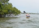 Captiva042018-7838  Kayaking around Buck Key. Started South along Roosevelt Channel, then went all the way around the far side. : 2018, Buck Key, Captiva, Kayaking