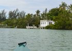 Captiva042018-7868  Kayaking around Buck Key. Started South along Roosevelt Channel, then went all the way around the far side. Tide coming in, strong wind from the South : 2018, Buck Key, Captiva, Kayaking