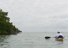 Captiva042018-7879  Kayaking around Buck Key. Started South along Roosevelt Channel, then went all the way around the far side. Tide coming in, strong wind from the South : 2018, Buck Key, Captiva, Kayaking