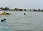 Captiva042018-7911  Kayaking around Buck Key. Started South along Roosevelt Channel, then went all the way around the far side. Tide coming in, strong wind from the South : 2018, Buck Key, Captiva, Kayaking