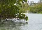 Captiva042018-7863  Kayaking around Buck Key. Started South along Roosevelt Channel, then went all the way around the far side. Tide coming in, strong wind from the South : 2018, Buck Key, Captiva, Kayaking