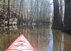 DSC 7678  Kayaking Cedar Creek in the Congaree National Park : 2018, Cedar Creek, Columbia, Congaree National Park, Kayaking, SC, South Carolina