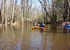 DSC 7737  Kayaking Cedar Creek in the Congaree National Park : 2018, Cedar Creek, Columbia, Congaree National Park, Kayaking, SC, South Carolina