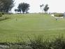 Forth Hole at Captiva Golf Course