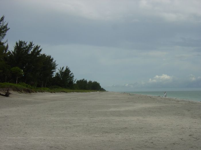 Captiva Beach