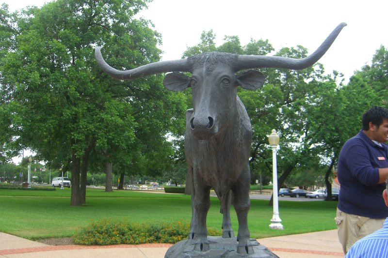 CIMG8026.JPG - The Texas Longhorn