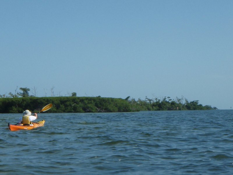 P6010009.JPG - Kayaking - Chadwick's Bayou