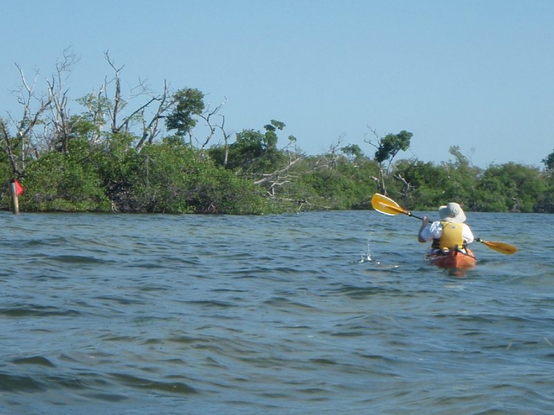 P6010016.JPG - Kayaking - Chadwick's Bayou