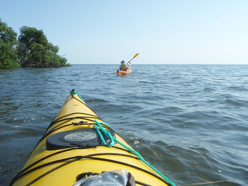 P6010023.JPG - Kayaking - Chadwick's Bayou