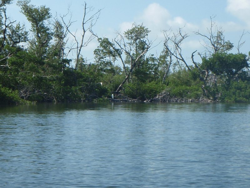 P6010111.JPG - Kayaking - Chadwick's Bayou