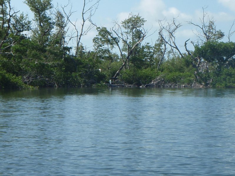 P6010113.JPG - Kayaking - Chadwick's Bayou