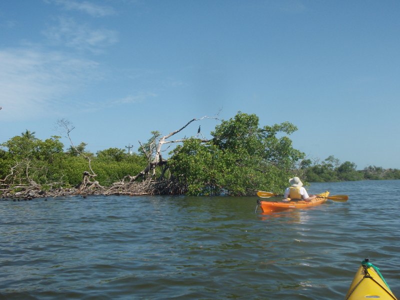 P6010192.JPG - Kayaking - Chadwick's Bayou