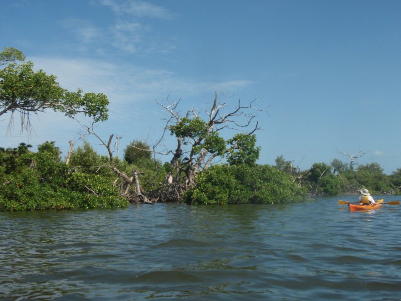 P6010199.JPG - Kayaking - Chadwick's Bayou