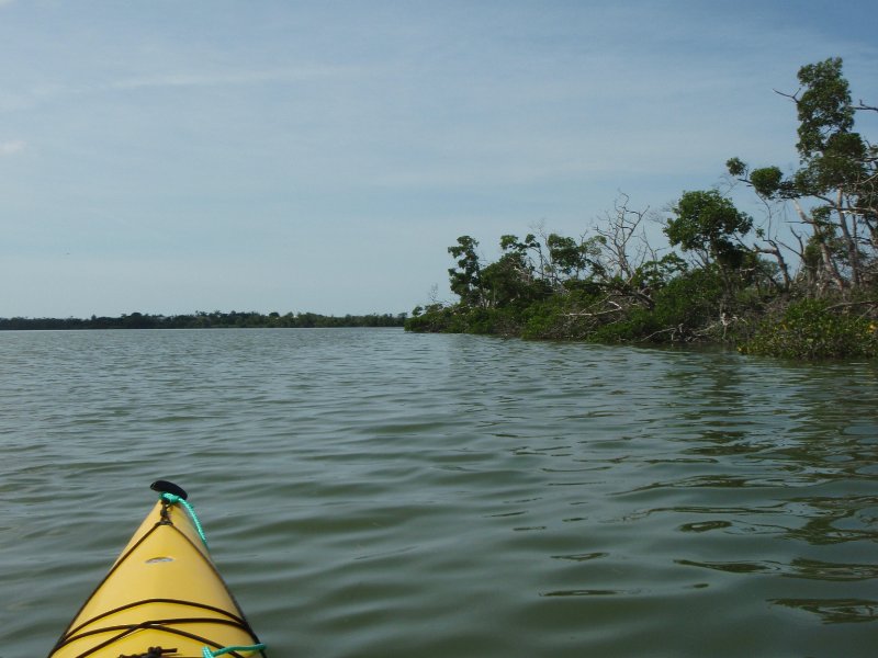 P6030277.JPG - Kayaking around Buck Key