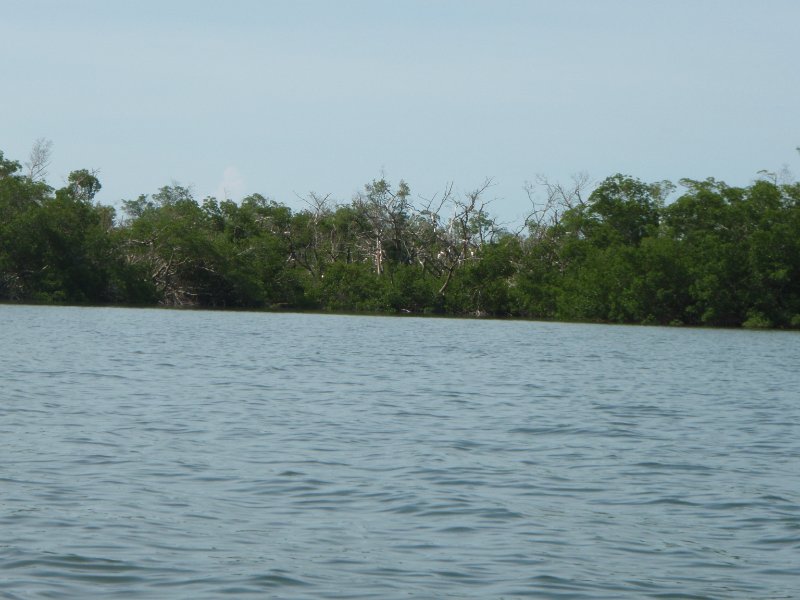 P6030291.JPG - Kayaking around Buck Key