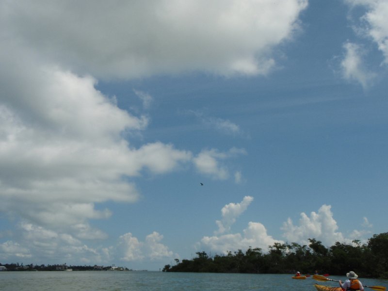 P6030326.JPG - Kayaking around Buck Key