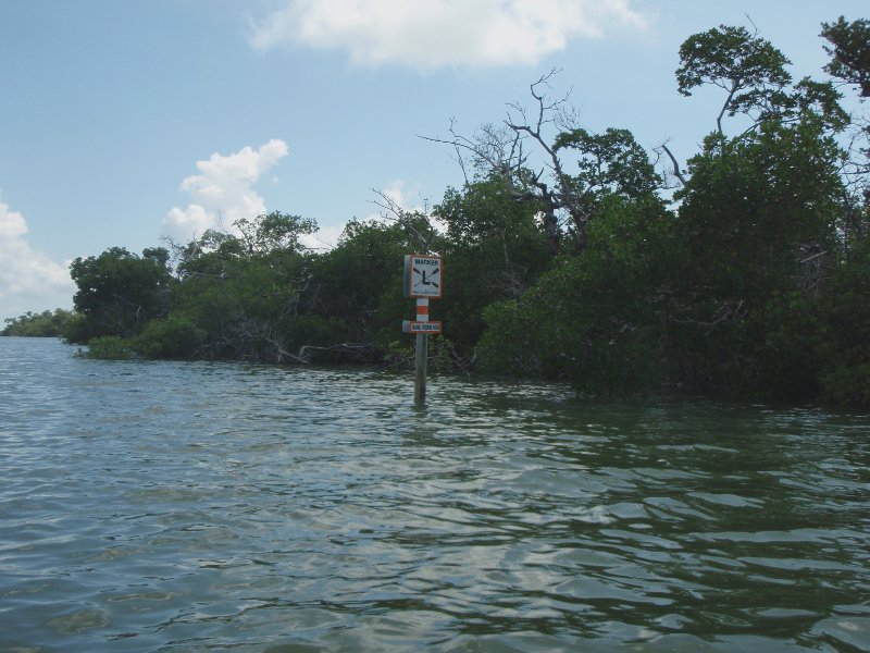 P6030328_edited-1.jpg - Kayaking around Buck Key