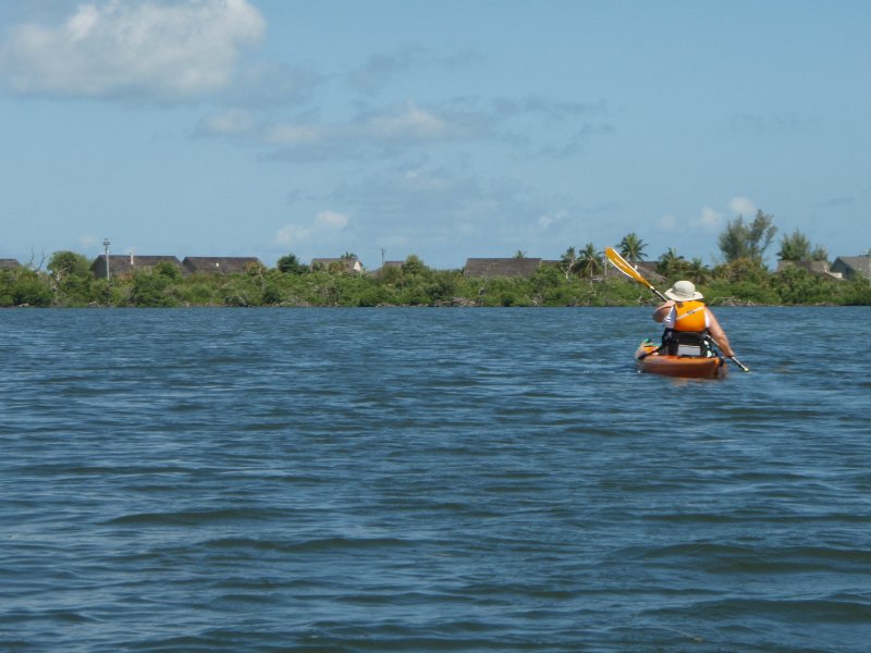 P6050379.JPG - Kayaking - Chadwick's Bayou