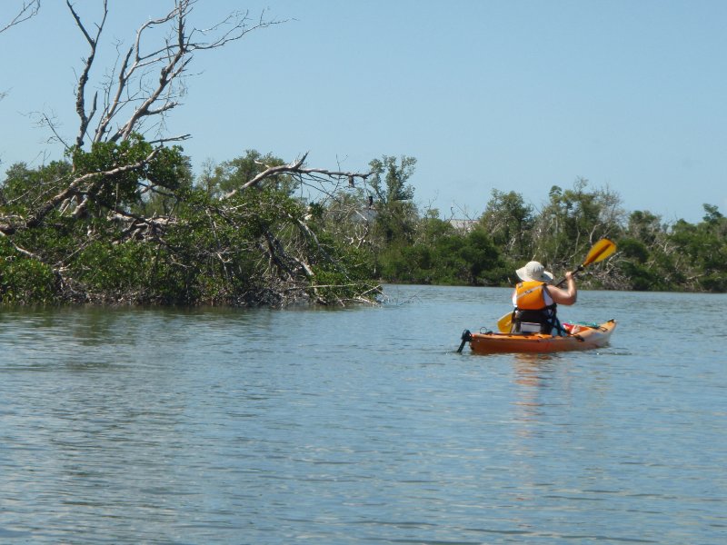 P6050391.JPG - Kayaking - Chadwick's Bayou