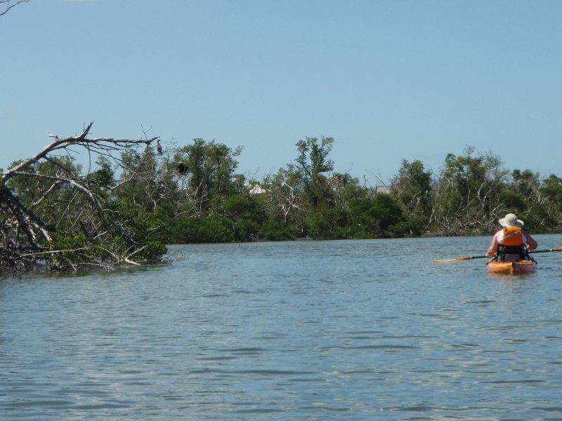 P6050392.JPG - Kayaking - Chadwick's Bayou