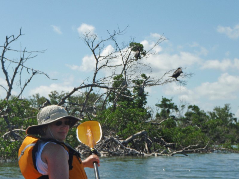 P6050394_edited-1.jpg - Kayaking - Chadwick's Bayou