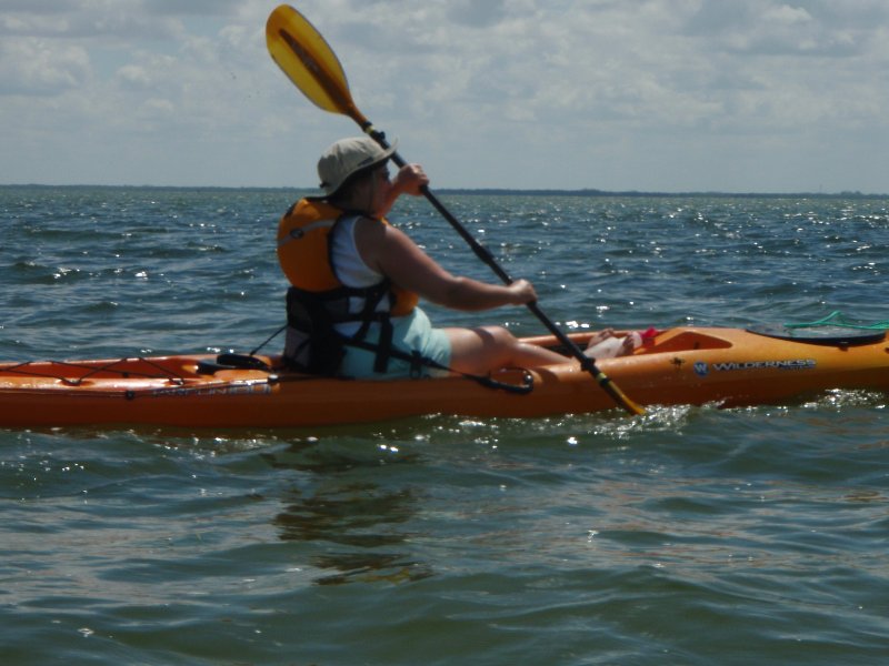 P6050421.JPG - Kayaking Pine Island Sound