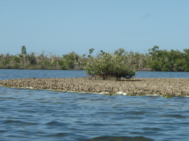 P6070434.JPG - Kayaking around Buck Key, near Blind Pass