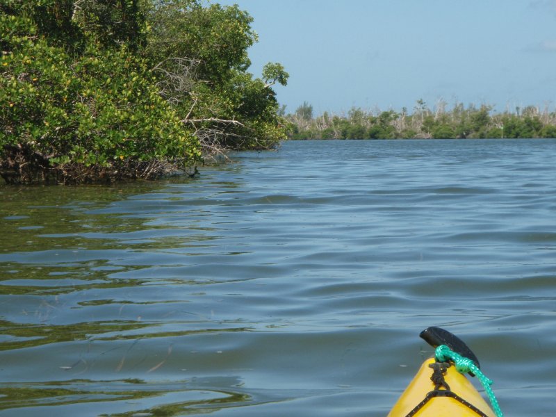 P6070439.JPG - Kayaking around Buck Key, near Blind Pass