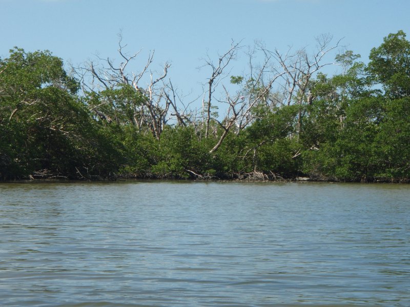 P6070444.JPG - Kayaking around Buck Key, near Blind Pass