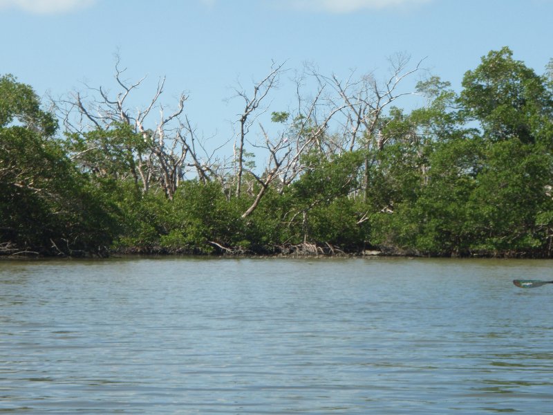 P6070445.JPG - Kayaking around Buck Key, near Blind Pass