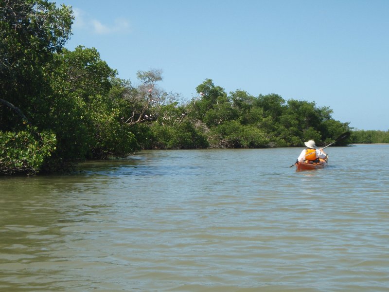 P6070448.JPG - Kayaking around Buck Key, near Blind Pass