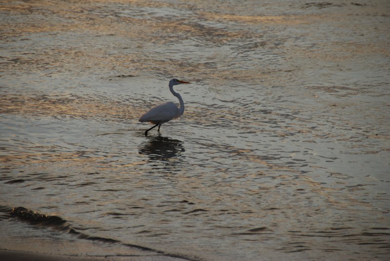 DSC_0315.JPG - Redfish Pass