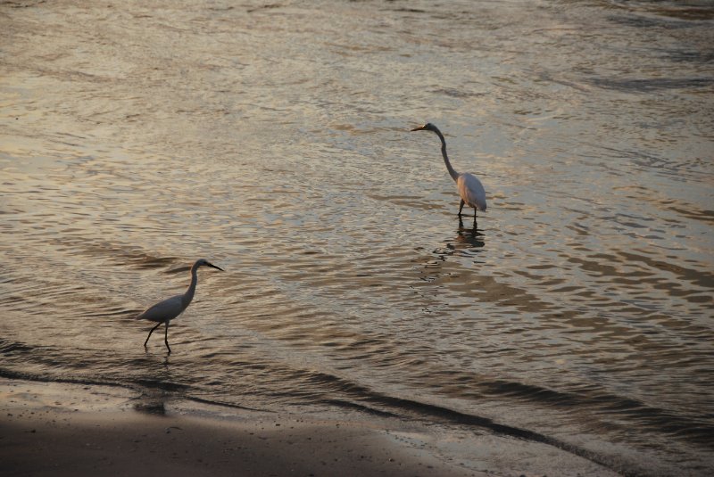 DSC_0318.JPG - Redfish Pass