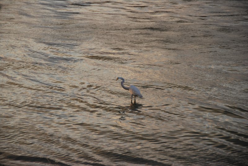 DSC_0324.JPG - Redfish Pass