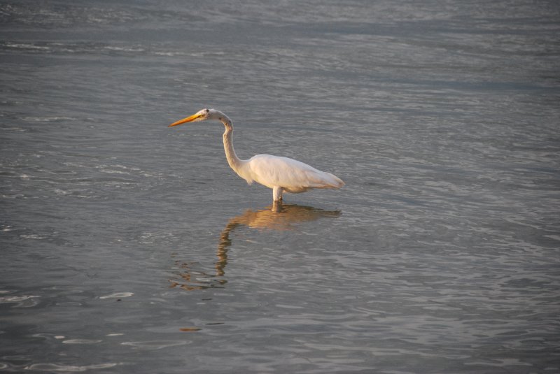 DSC_0332.JPG - Redfish Pass