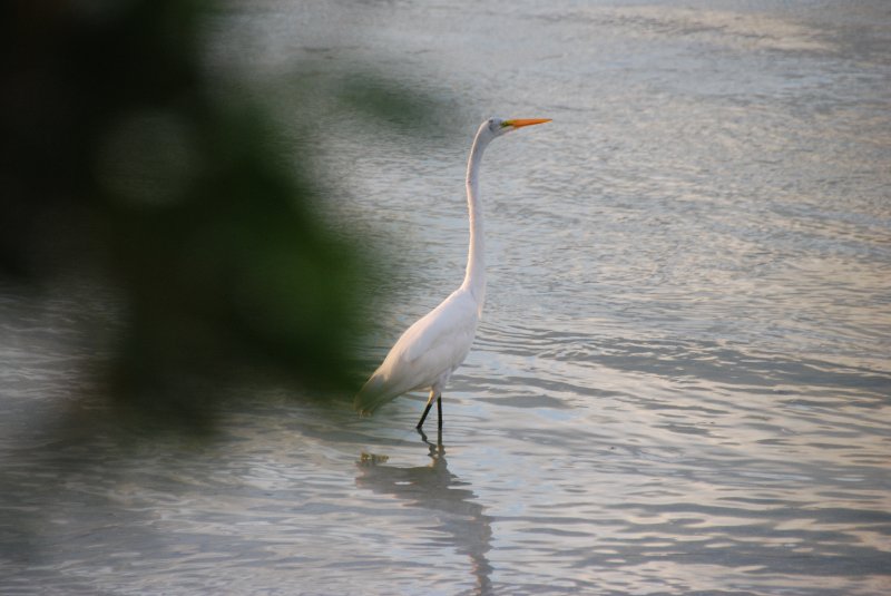 DSC_0350.JPG - Redfish Pass