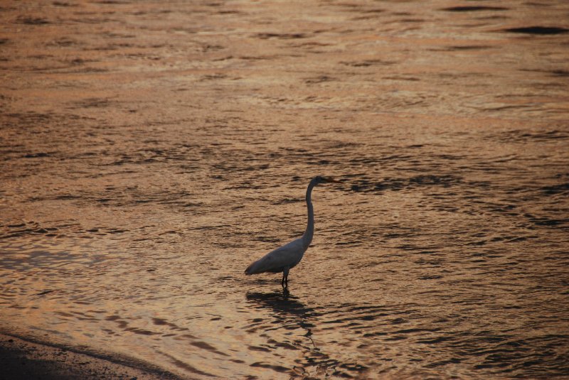 DSC_0366.JPG - Redfish Pass