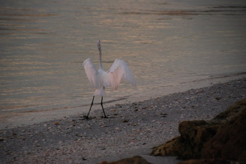 DSC_0370.JPG - Redfish Pass