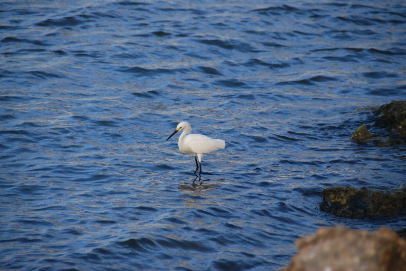 DSC_0404.JPG - Redfish Pass