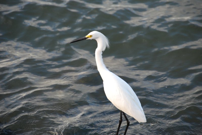 DSC_0408.JPG - Redfish Pass