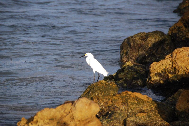 DSC_0468.JPG - Redfish Pass