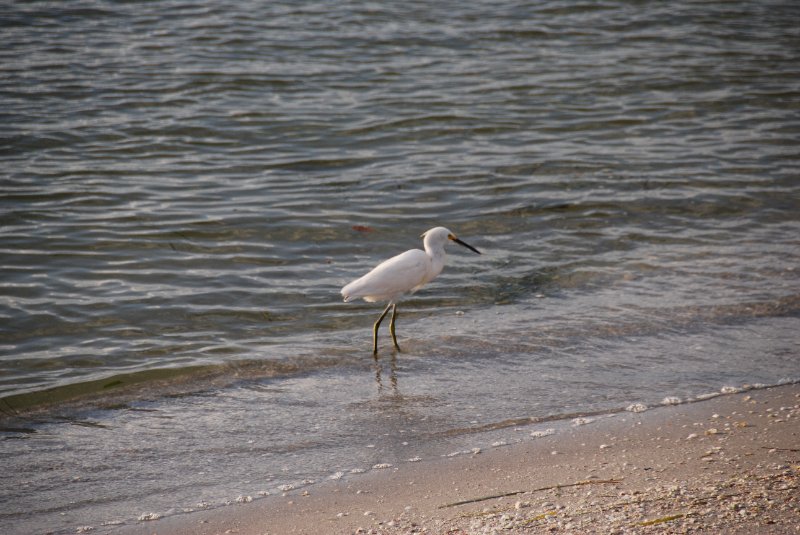 DSC_0514.JPG - Redfish Pass