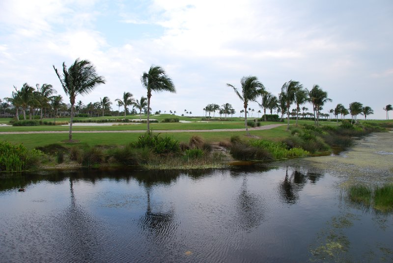 DSC_0077.JPG - Captiva Island Golf Course