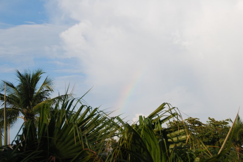 DSC_0189.JPG - Sanibel Rainbow - Near Jerry's