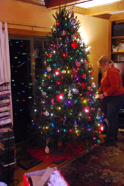 DSC_1914.JPG - Decorating the Christmas Tree