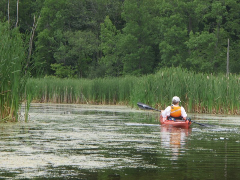 BusseWoodsKayak071809-7180030.jpg - Kayaking Busse Lake